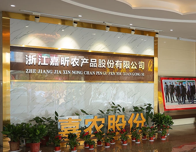 金鼎国际简介