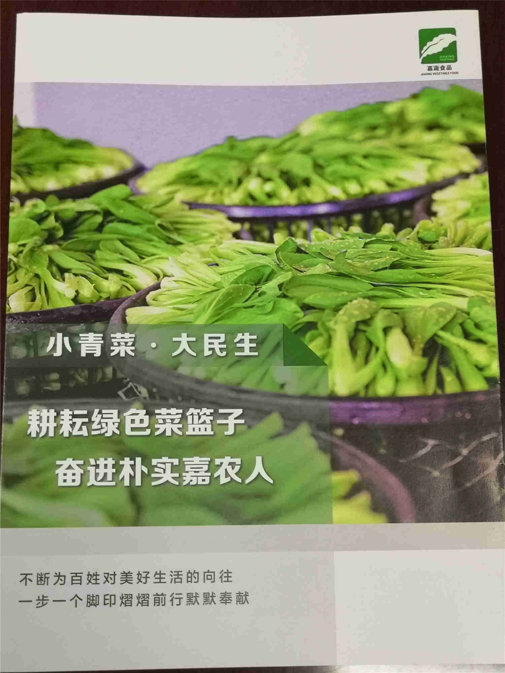 金鼎国际(中国区) - 官方网站