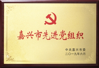 嘉兴市先进党组织