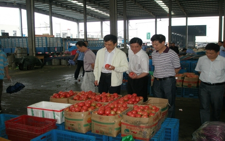 2011年6月嘉兴市委常委、市政府常务副市长蒋唯民一行莅临蔬菜市场视察菜篮子供应工作