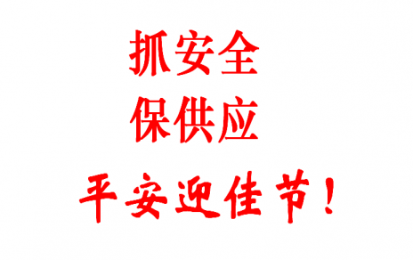 查隐患 促安全 保供应 贺新春！
