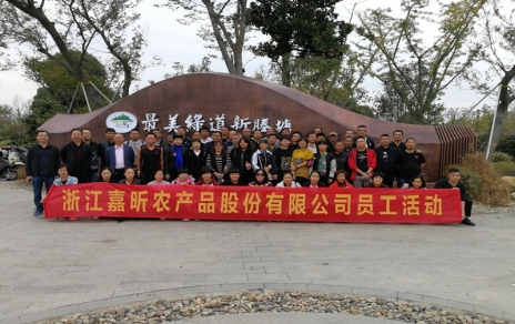 动出健康与活力！工会组织员工健身走活动