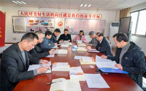 学党史、严纪律，践承诺、当先锋