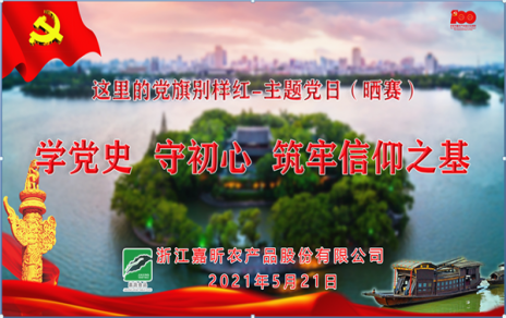 展现精神风貌：“这里的党旗别样红”主题党日晒赛获得一等奖