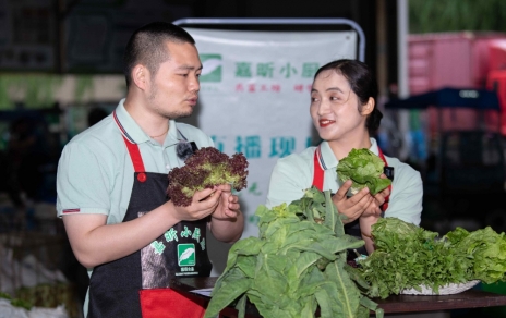 千金如玉，一口清心--生菜?油麦菜?莴笋直播专场